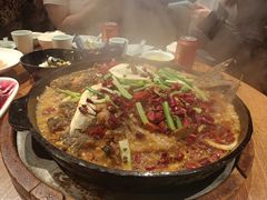 老板恋上鱼-老板恋上鱼(高新万达店)