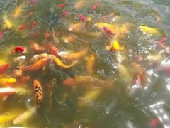 5-月牙潭公园