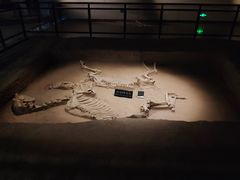 -洛阳周王城天子驾六博物馆