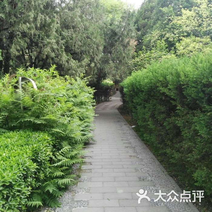 安贞社区街心公园