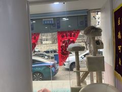 -A猫a狗全科·犬猫异宠·芥西宠物医院(南开总院)