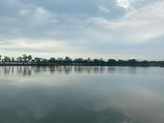 -君豪蟹都·湖景·农家乐(蟹舫苑店)