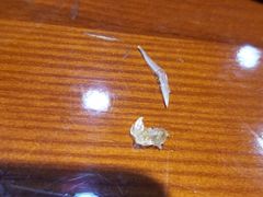 -东北酱大骨