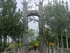 -西青郊野公园