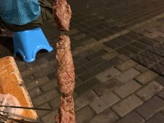 -新疆阿力烧烤