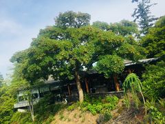 -四季餐厅