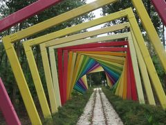 -合肥滨湖国家森林公园