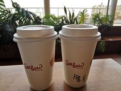 -Seesaw Coffee(朝阳大悦城店)