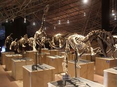 -世界恐龙谷景区