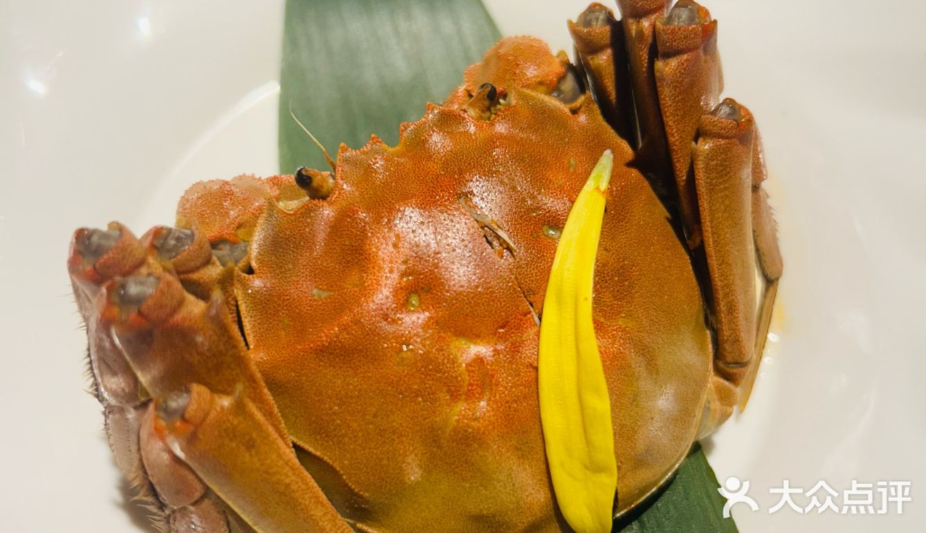 在深圳｜找到了佘诗曼同款柠檬桂花山药