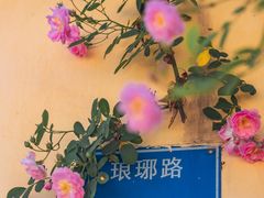 -颐和路民国时期公馆风貌区