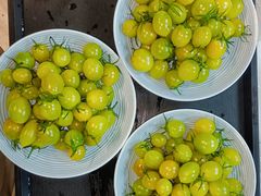 -七采菌园·野生菌石锅鱼(环城北路店)