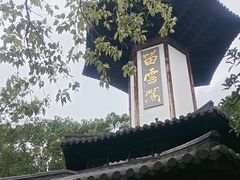 -上海佘山国家森林公园天马山园