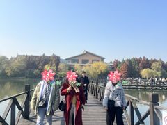 -溱湖国家湿地公园