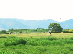 -良渚古城遗址公园