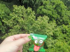 -紫金山山顶公园