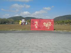 -亚龙湾国际玫瑰谷