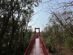 -上海吴淞炮台湾国家湿地公园