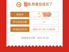 -上海国际商品拍卖有限公司(闵行分公司)