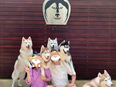-TrueLove @ Neverland (Husky Cafe)