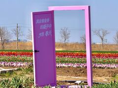 -青岛胶东国际机场