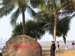 -万绿园