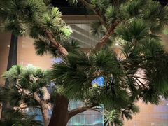 -绿茶餐厅(成都大悦城店)