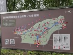 -张坝桂圆林公园