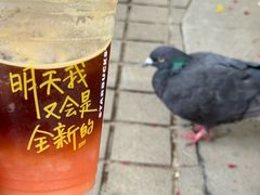 -成都南湖公园