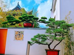 -龙华寺