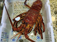 -阿忠食坊大排档·20年老店(万象城店)