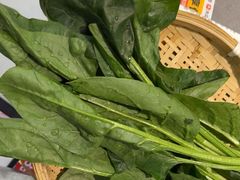 -生活如沸·顺德水牛奶火锅(大学路店)