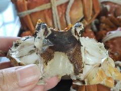 -乡乐园蟹庄·阳澄湖农家乐