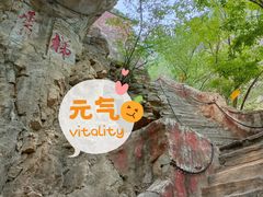 -北京上方山国家森林公园