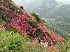 -木兰云雾山