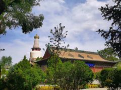 -张掖大佛寺景区