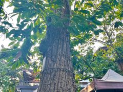 -兴福老面馆(寺路街店)