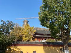 -上海东林寺(金山区)