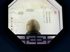 -上海滨江森林公园