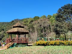 -广州市石门国家森林公园