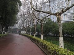 -金陵中学(河西分校)