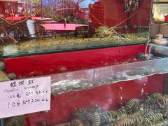 -大树下海鲜饭店