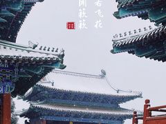 -阅江楼风景区