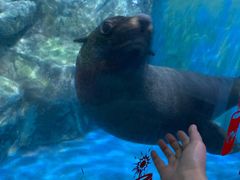 -锦艺城海洋馆