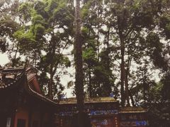 -都江堰普照寺