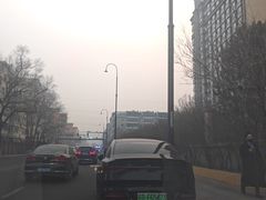-东北农业大学饺子园