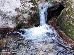 -王顺山国家森林公园