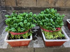 -印巷里主题餐厅(马鞍山店)