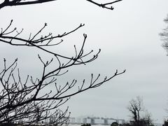 -蛇蟠岛