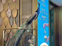 景观位-雀蓝川菜(星悦汇店)